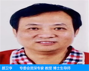 顏衛亨—專委會資深專家